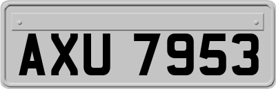 AXU7953