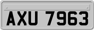 AXU7963