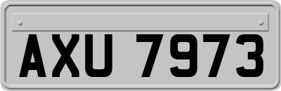 AXU7973