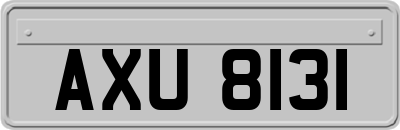 AXU8131