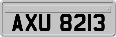 AXU8213