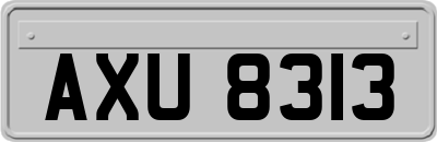 AXU8313