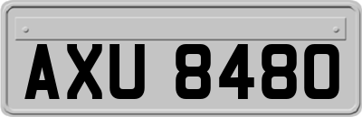 AXU8480