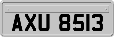 AXU8513