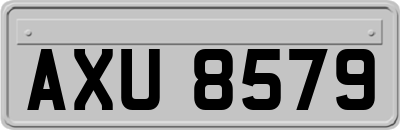 AXU8579