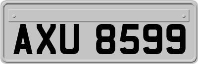 AXU8599