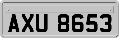 AXU8653