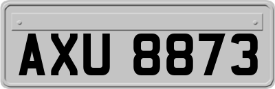AXU8873