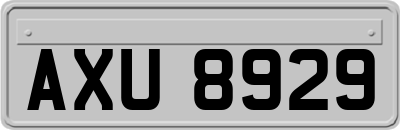 AXU8929