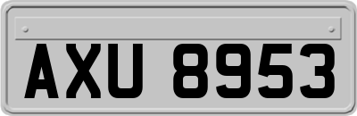 AXU8953