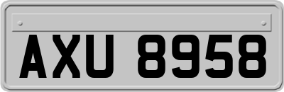 AXU8958
