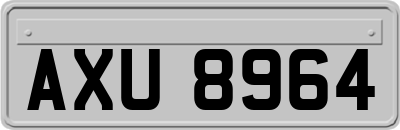 AXU8964