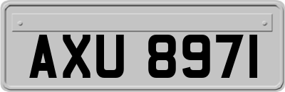 AXU8971