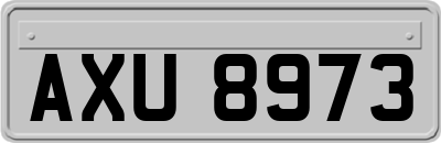 AXU8973
