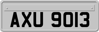 AXU9013