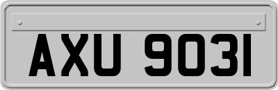 AXU9031