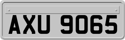 AXU9065