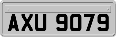 AXU9079