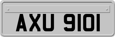 AXU9101