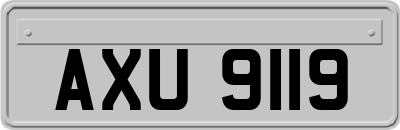 AXU9119