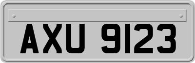 AXU9123
