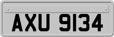 AXU9134