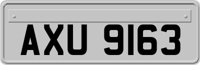 AXU9163