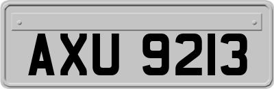 AXU9213