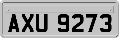 AXU9273