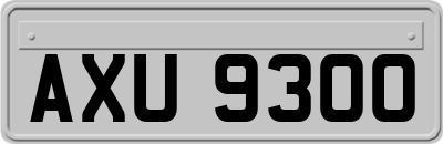 AXU9300