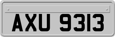 AXU9313