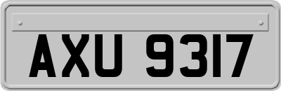 AXU9317
