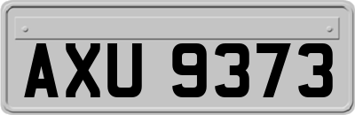 AXU9373