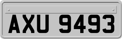 AXU9493