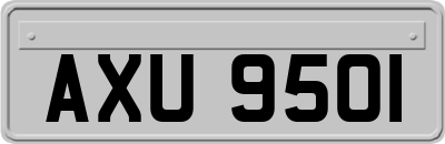 AXU9501