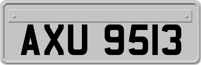 AXU9513