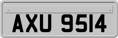 AXU9514