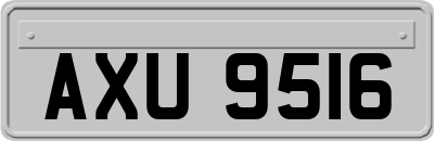 AXU9516