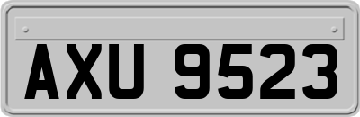 AXU9523