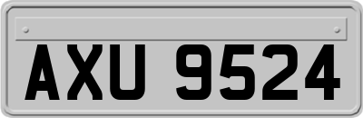 AXU9524