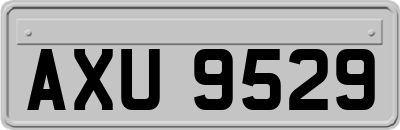 AXU9529
