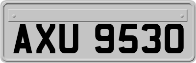 AXU9530