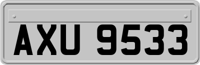 AXU9533