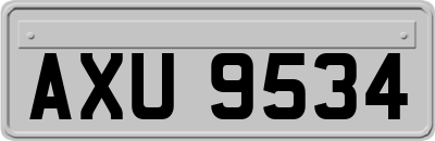 AXU9534