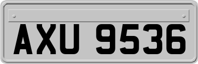 AXU9536