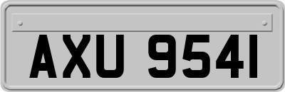 AXU9541