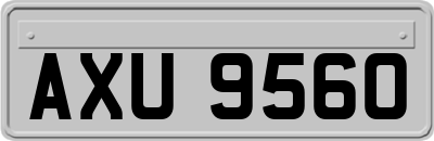 AXU9560