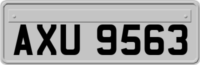 AXU9563