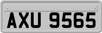 AXU9565