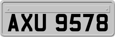 AXU9578